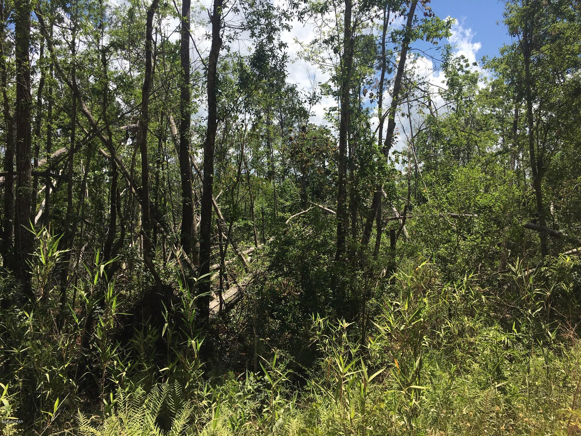 No Named Subdivision - Land