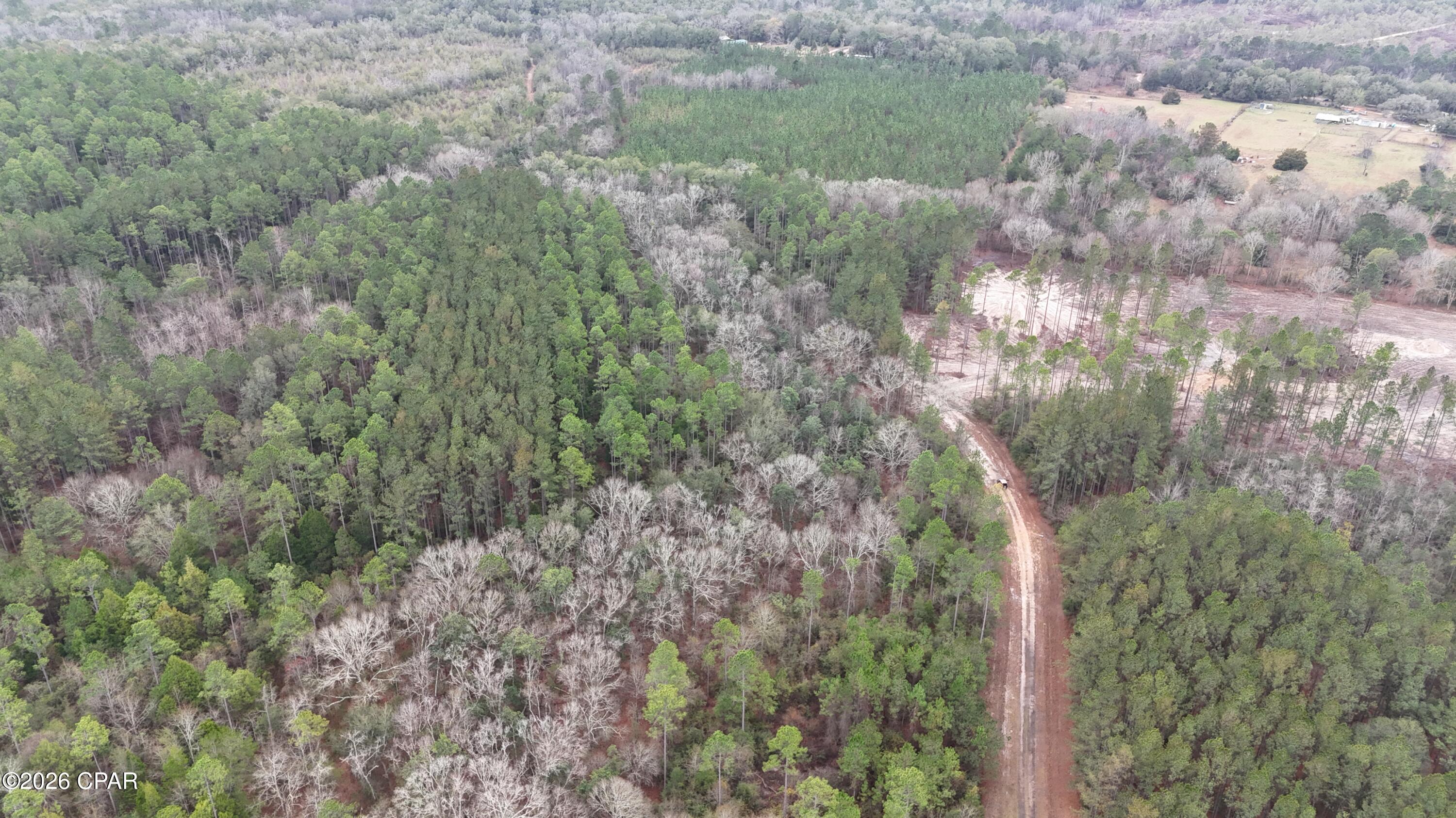 Canopy Crossing - Land