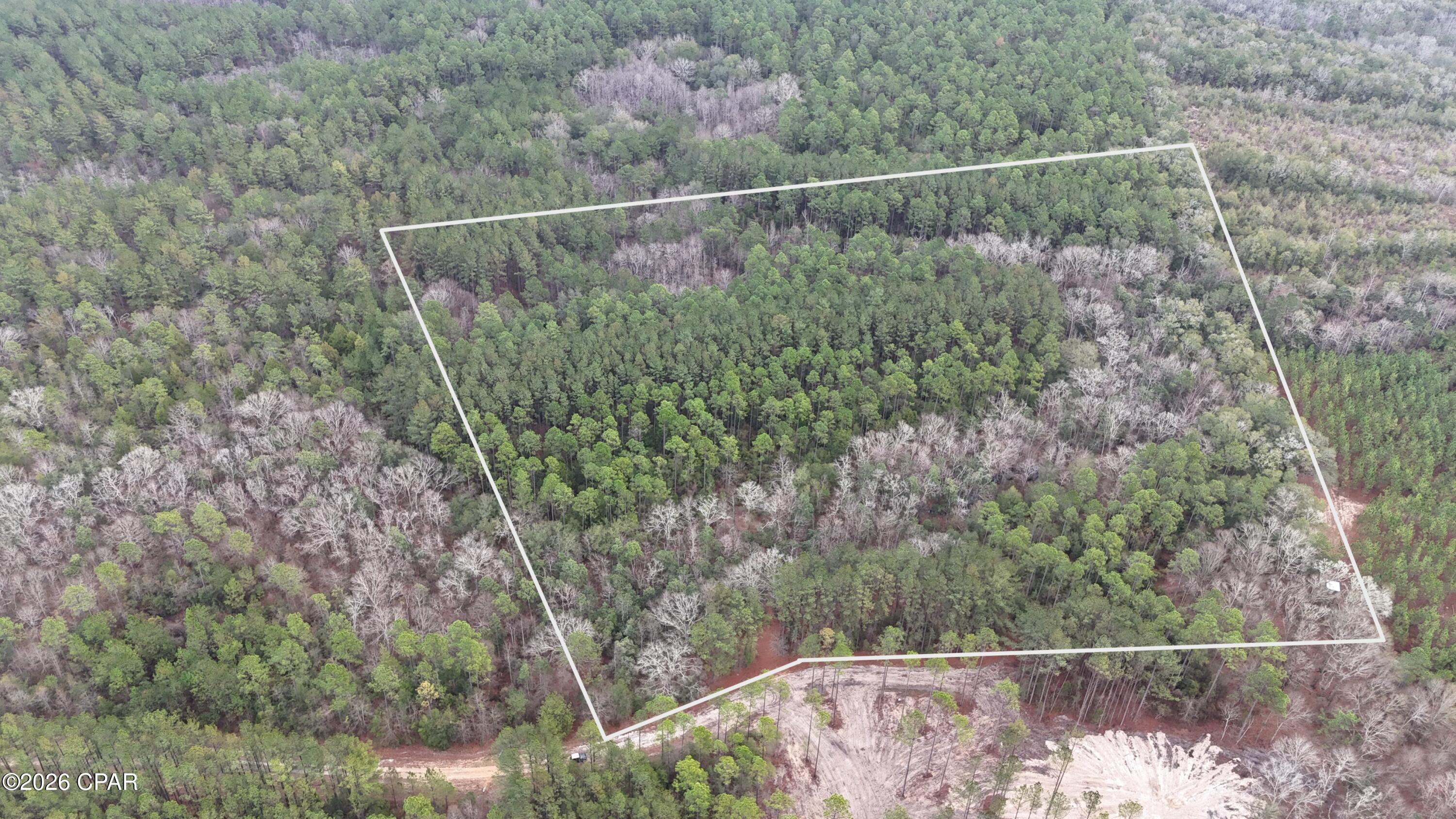 Canopy Crossing - Land