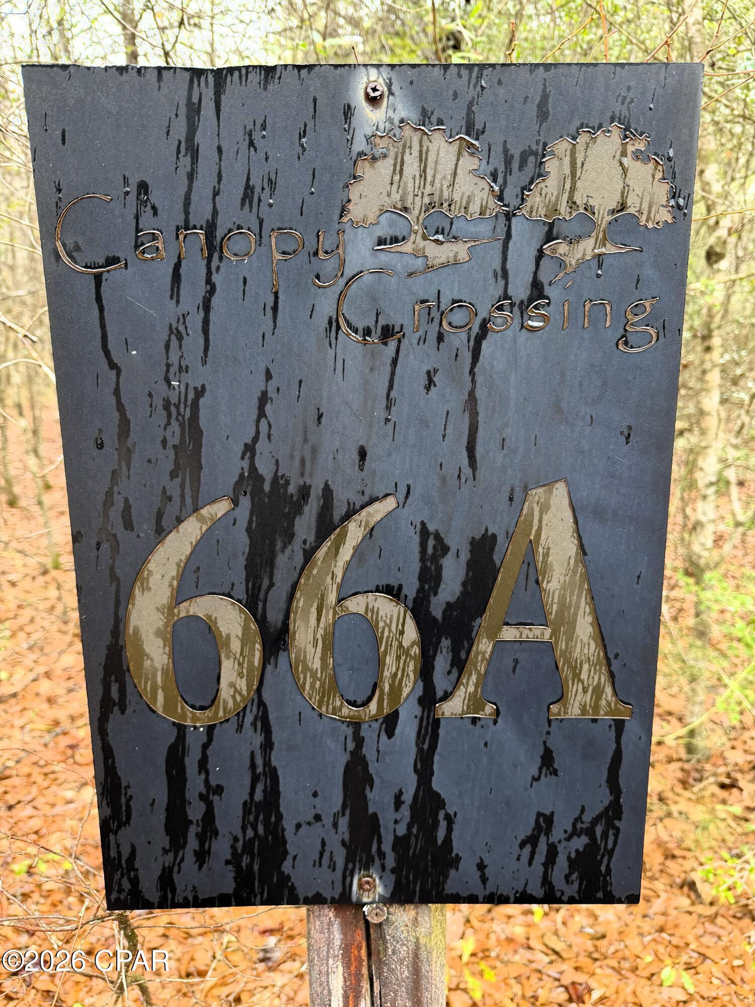 Canopy Crossing - Land