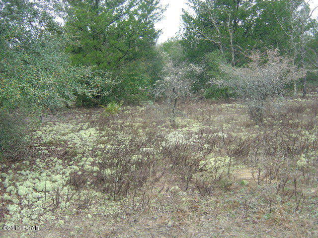 Compass Lake In The Hills - Land