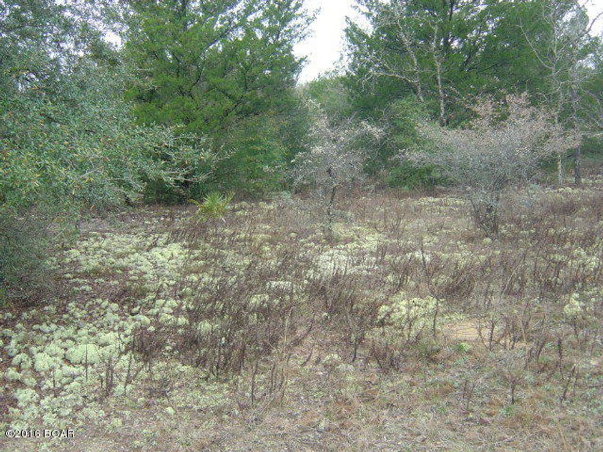 Very nice CLH lot, level with all the amenities of CLH.