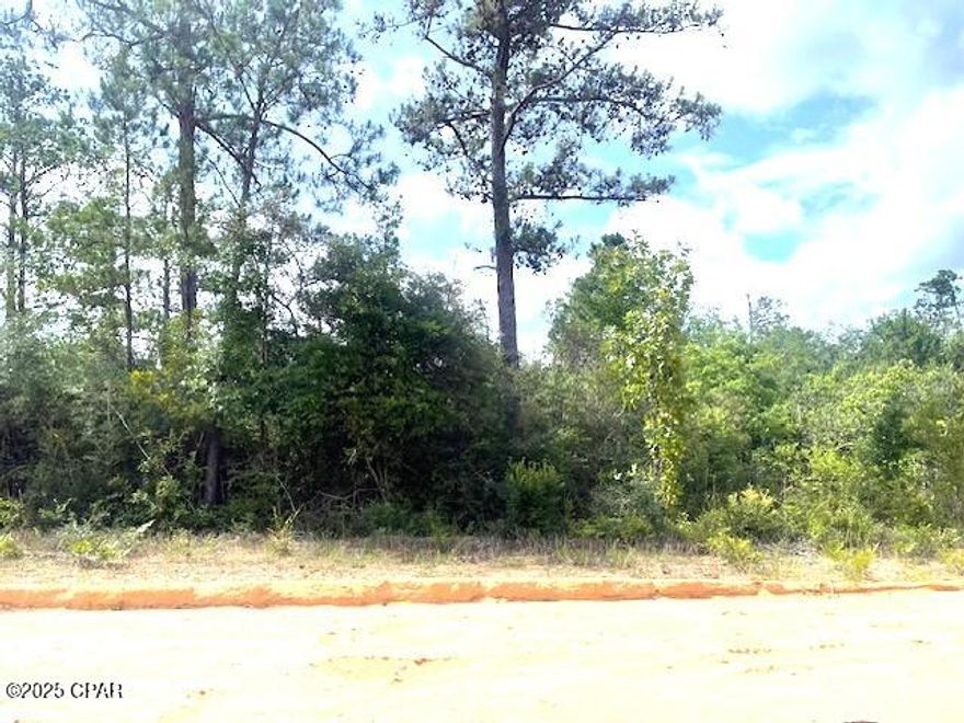 This is a nicely wooded lot in beautiful Compass Lake Hills.  It is covered with native trees.  This lot has easy access south to Panama City on the coast and north to Marianna for shopping.  If you want peace and quiet this is the place for you.  Lots of wildlife in the area, deer, turkey, birds and butterflies for you to watch and enjoy.