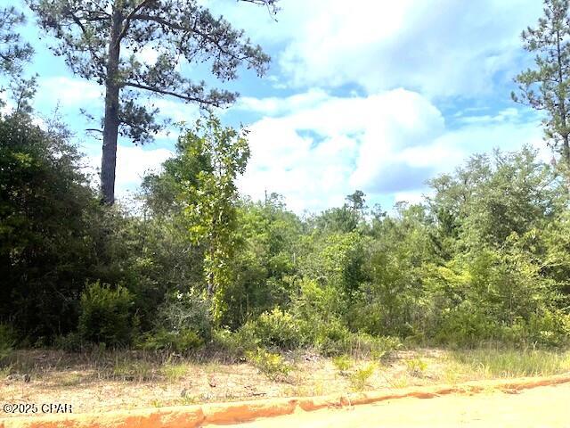 Compass Lake Hills Unit 6 - Land