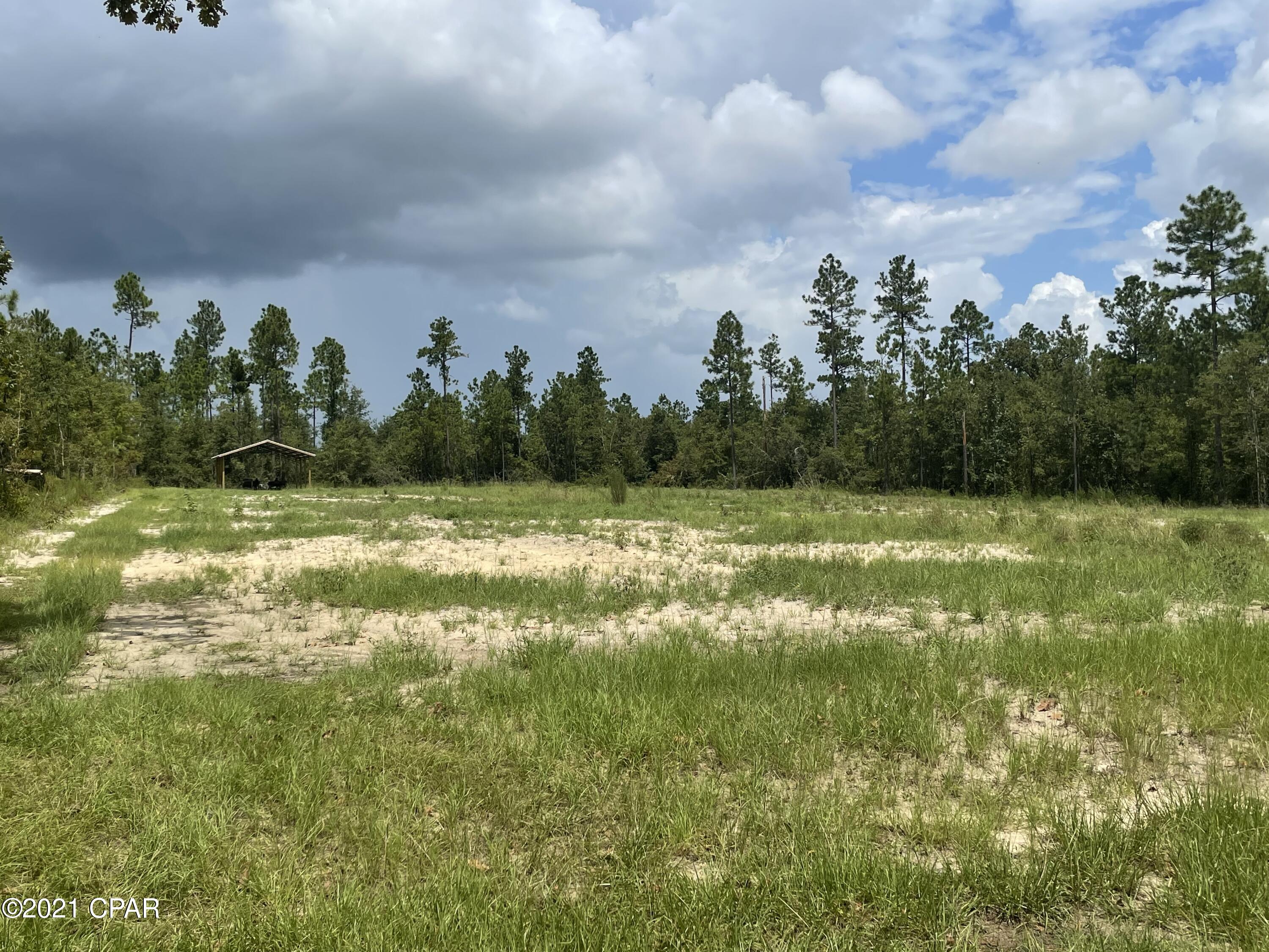 Blue Springs Plantation - Land