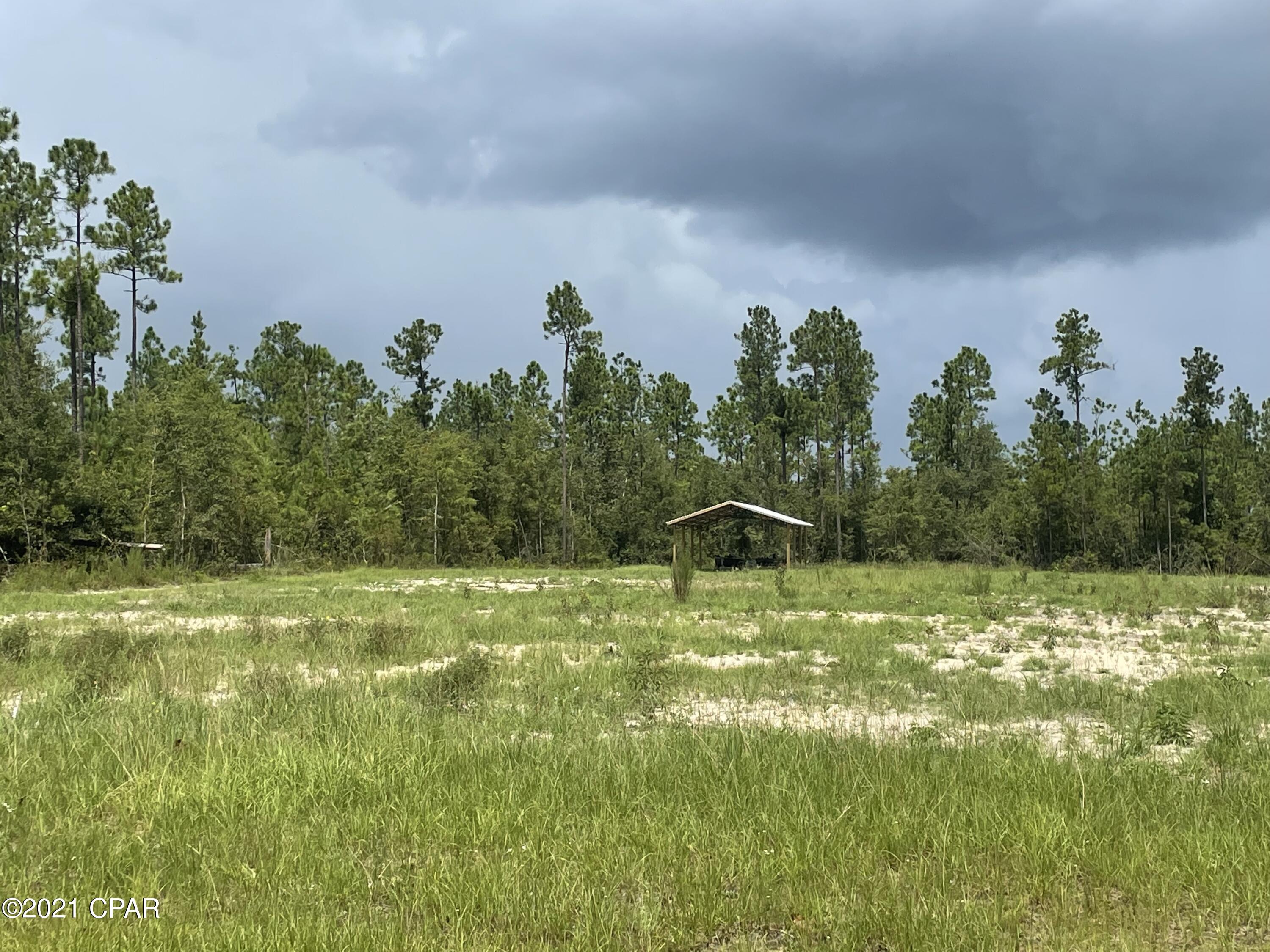 Blue Springs Plantation - Land