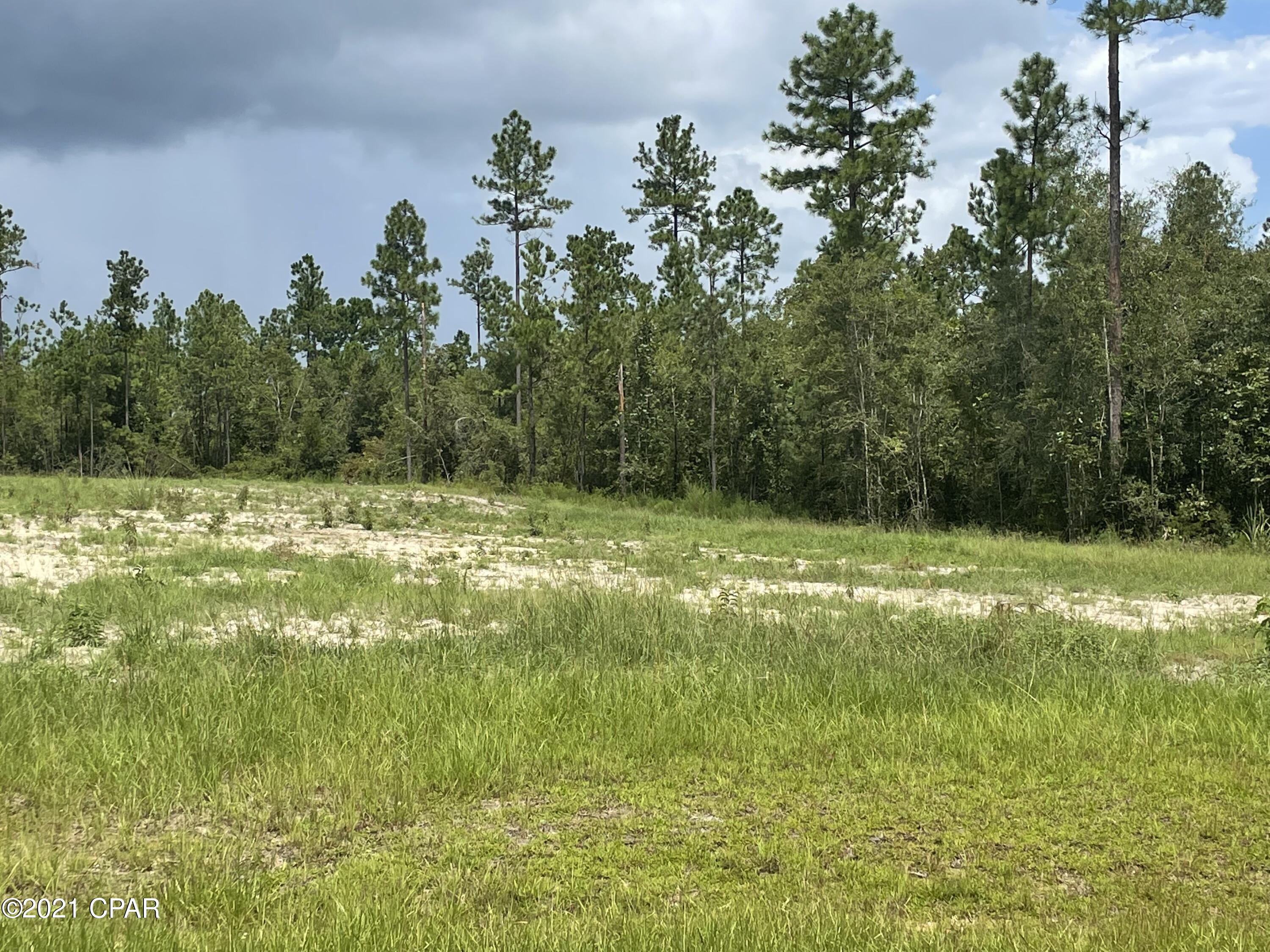 Blue Springs Plantation - Land