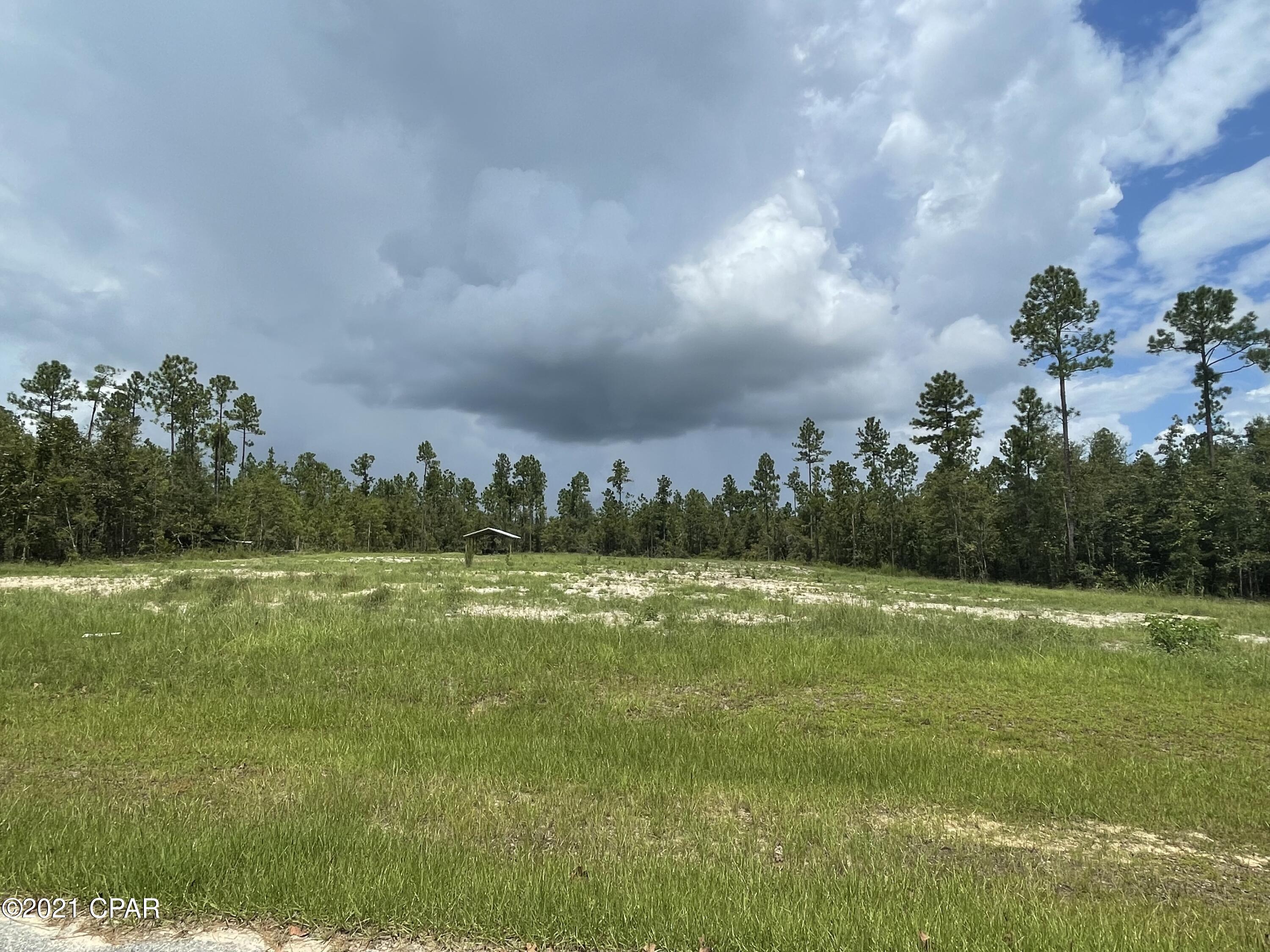 Blue Springs Plantation - Land