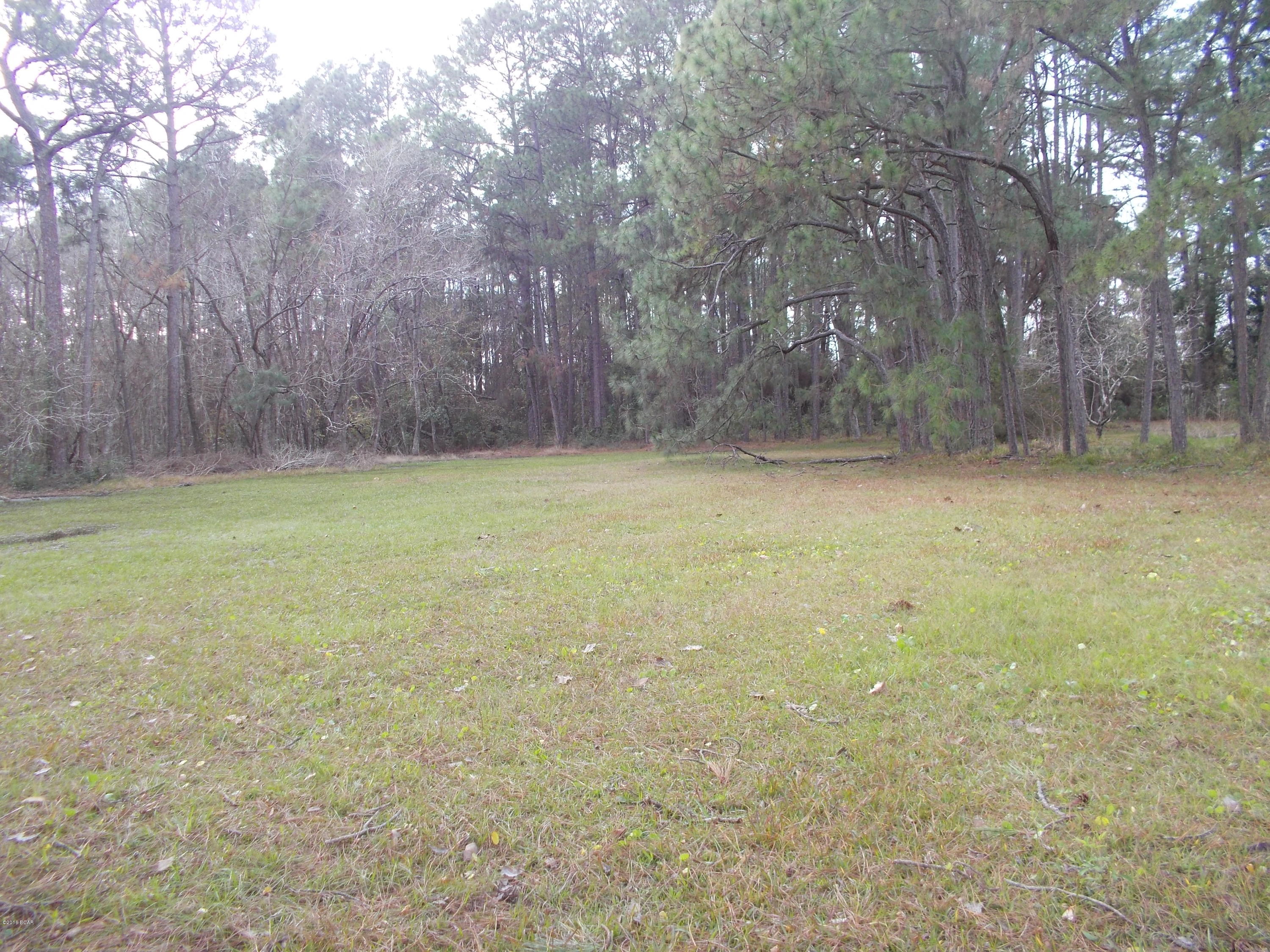 East Bay Park - Land