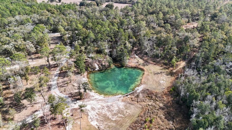 Over6 Acres with water access to the Choctawhatchee River. Escape to land with a breathtaking spring fed pond and the Choctawhatchee River just feet away. Perfect for outdoor enthusiasts, this property offers incredible opportunities for fishing, hunting, and enjoying nature at its finest. This location is a dream for anglers, while hunters will love the abundance of deer, turkey, and hogs that roam the area. Whether you're looking to build a private retreat, a hunting cabin, or your dream home, this property has everything you need to bring your vision to life. Situated on a paved road, with convenient access, airport just minutes away and just 22 minutes from the Gulf of Mexico, you'll enjoy the best of both worlds: the serenity of the rivers, beaches, shopping, and restaurants. This rare find offers endless possibilities for those seeking adventure, privacy, and natural beauty. Don't miss your chance to own a slice of paradise near the Choctawhatchee River!