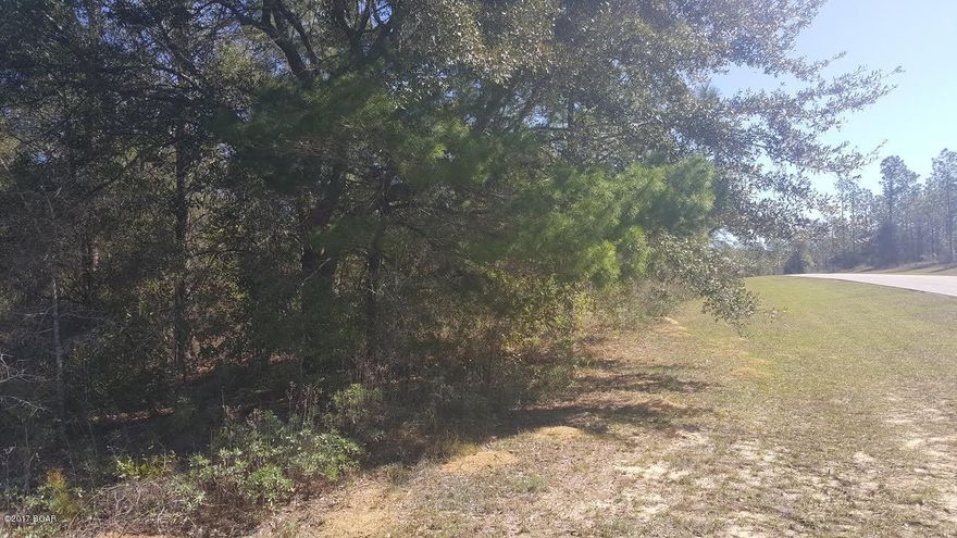 Nice corner building lot in Sunny Hills. Lot is mostly wooded. Newer homes in the area. Located on Shenandoah Blvd. Not far from Boat Lake with seasonal swimming and other fishing lakes nearby. Lot is restricted to site built homes only. Approximately 35-40 miles from Panama City Beach.