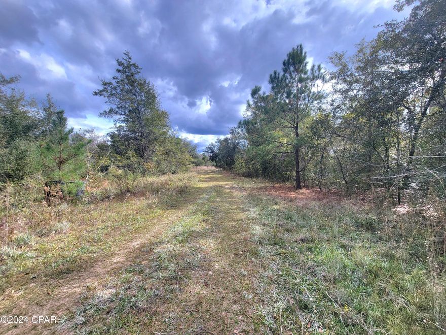 This beautiful 11-acre wooded lot offers the perfect blend of privacy and natural beauty. With a mixture of hardwood and pines, this parcel is ideal for anyone looking to build their dream home or create a private getaway. The lot features a well-maintained driveway that provides easy access and is no longer being used as an easement. Seller has survey available. This property has no deed restrictions. Mobile homes are welcome!