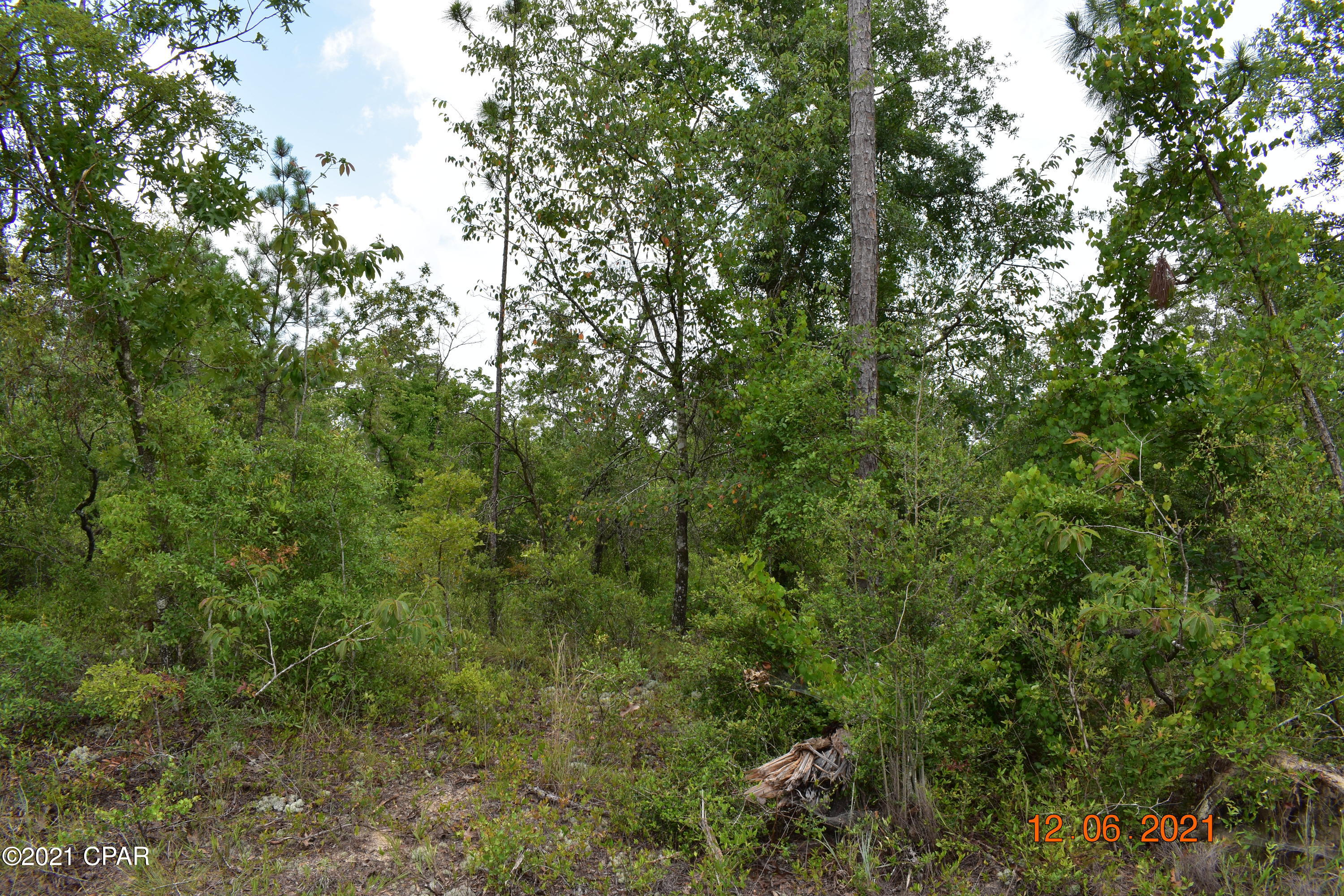 Compass Lake Hills Unit 5 - Land