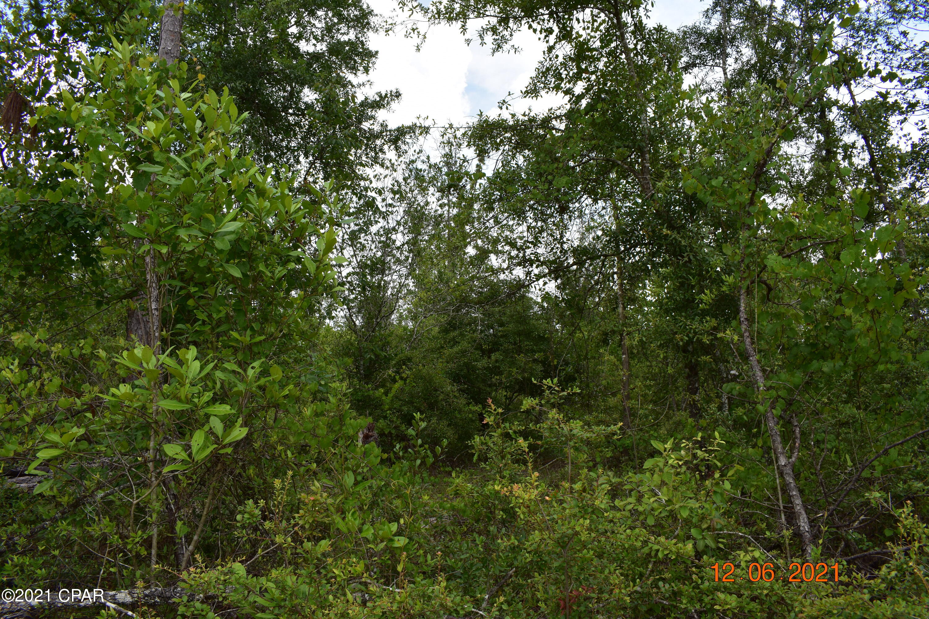 Compass Lake Hills Unit 5 - Land