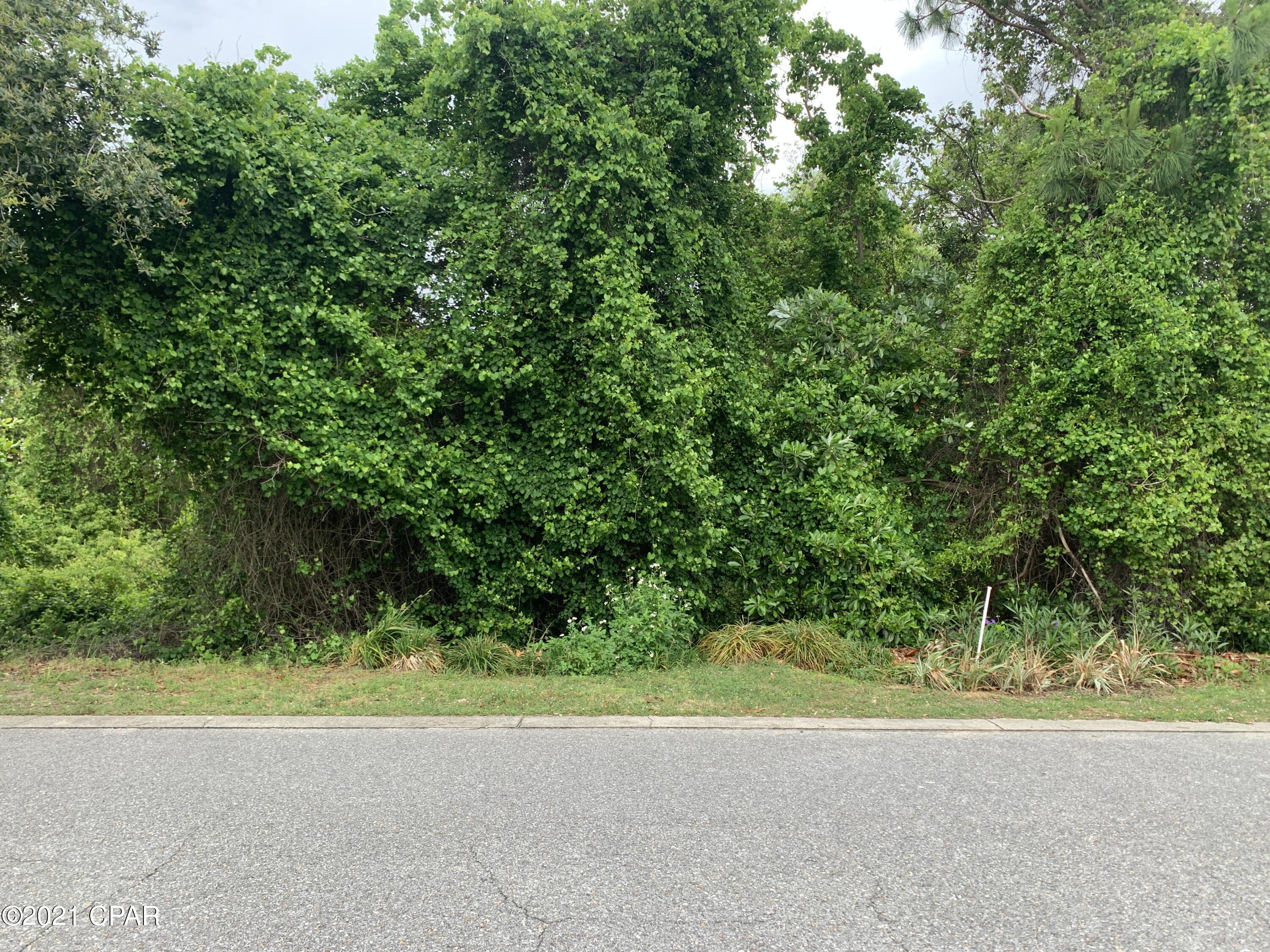 Summer Breeze - Land