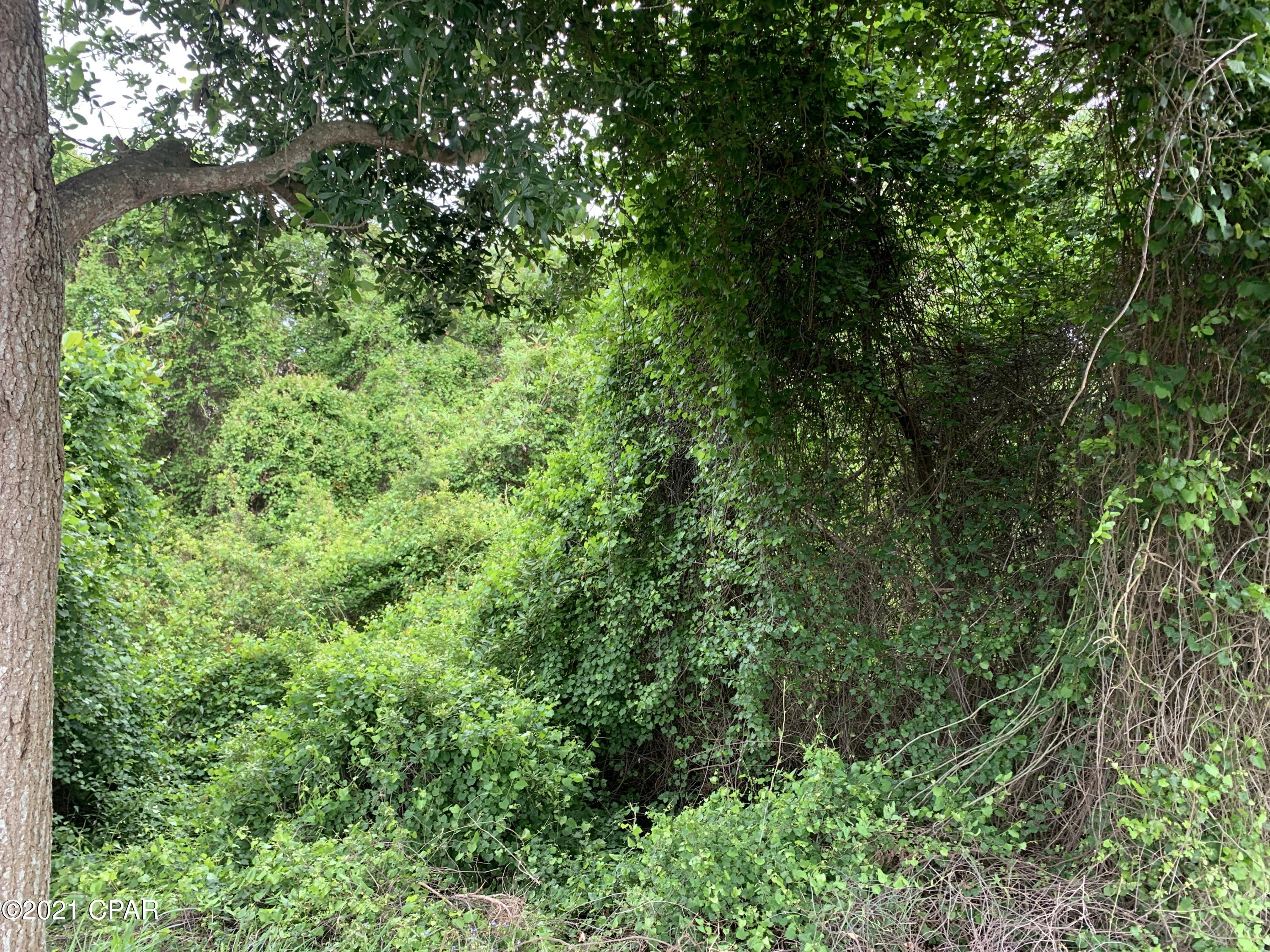 Summer Breeze - Land