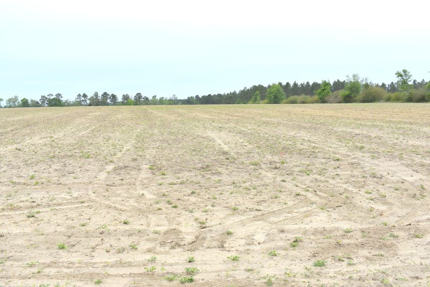 Located just off Hwy 77 between Chipley and Wausau this cleared 8.84 acres is ready for your dream house, mobile home or tractor.  Property has recently been surveyed and has a gentle incline towards the center of the property perfect for your new homesite