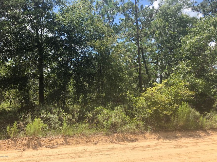 Buyer's financing fell through, back on the market! 

Vacant lot almost 3/4 of an acre located between Greenhead and Vernon. NOT in a flood zone! Only about a half mile down a dirt road off of Moss Hill Rd. Electricity is available, but it will need a well and septic. Mobile homes are allowed in this area so it would be a great option to purchase with a land/home package. You can build too. Convenient to highway 77 or 79. This lot is centrally located to Panama City, PCB, Chipley, and Bonifay. Perfect for someone who wants to be in the country, but close to the beaches and the interstate. Make your offer today!