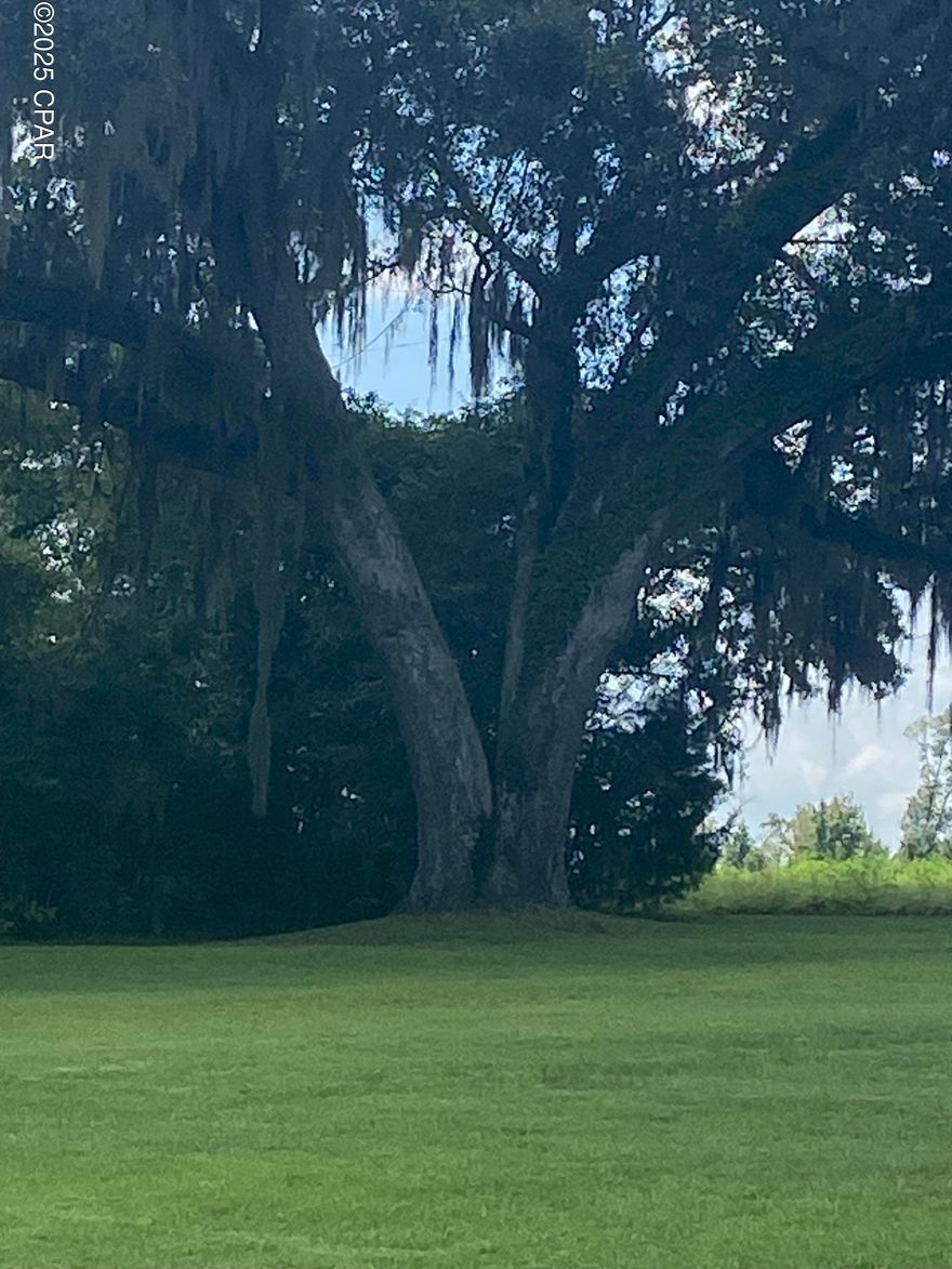 A beautiful three bedroom two bath home on a spacious 20 acre plot with beautiful old oak trees surrounding the home, two large pole barns, Work shed, with a large manicure Lawn surrounding it all. The tranquility of country living with the convenience of whatever you might need just minutes away and easy access to I-10, the beaches, and some of the best hunting and fishing in the southeast. This is a hard find for this much acreage in such a great location, you don't want to wait on this one!