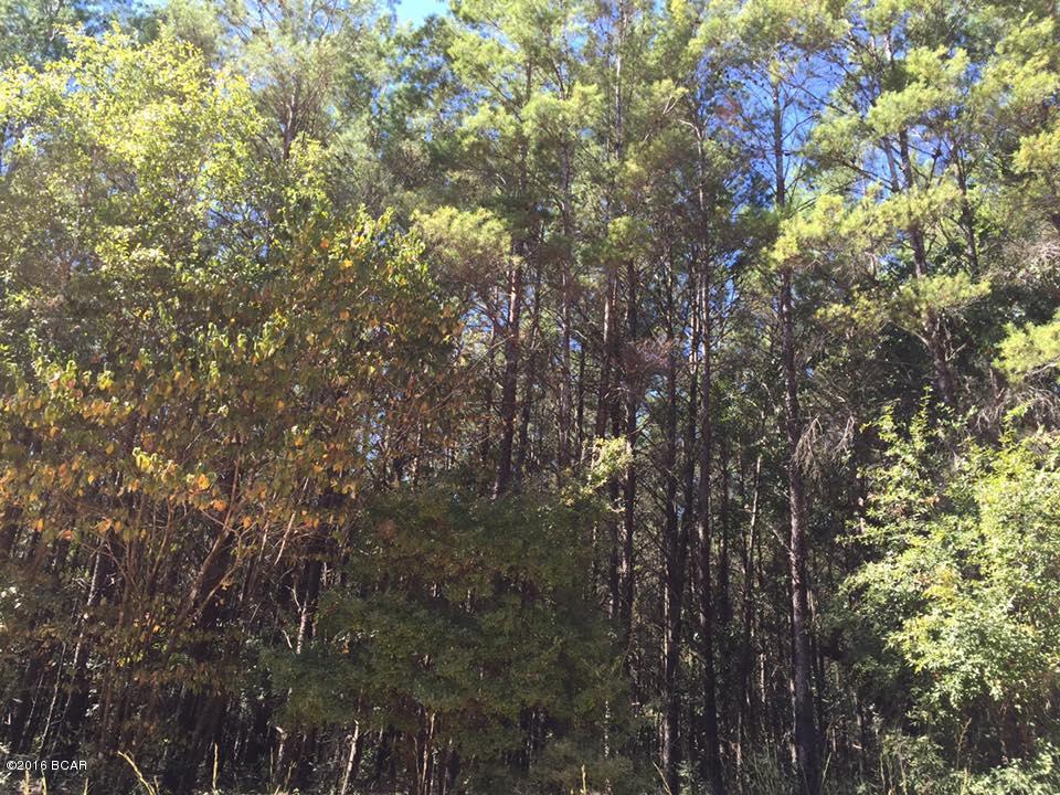 Woodland Meadows - Land