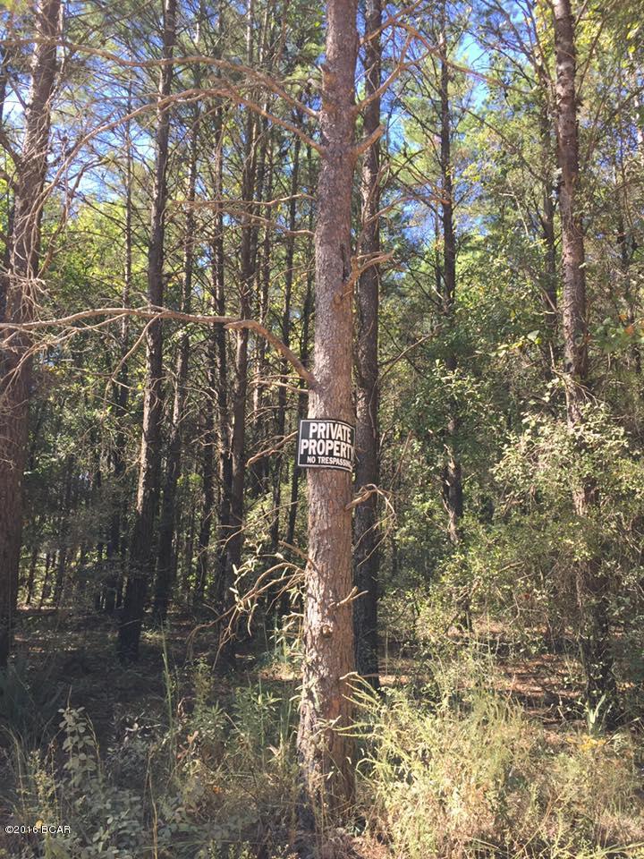 Woodland Meadows - Land