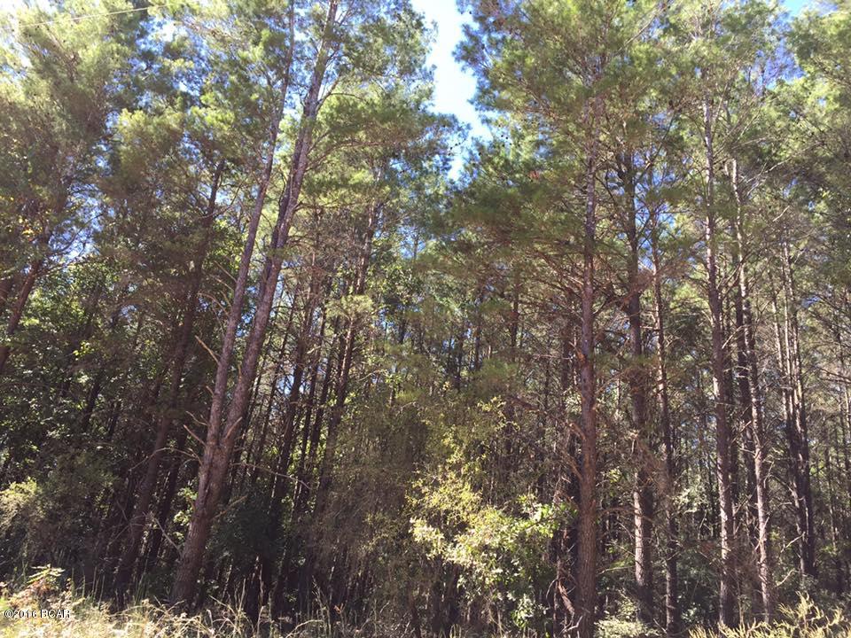 Woodland Meadows - Land