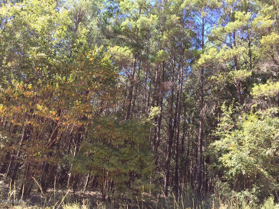 Woodland Meadows - Land