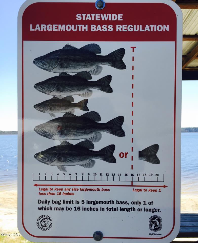 Woodland Meadows - Land