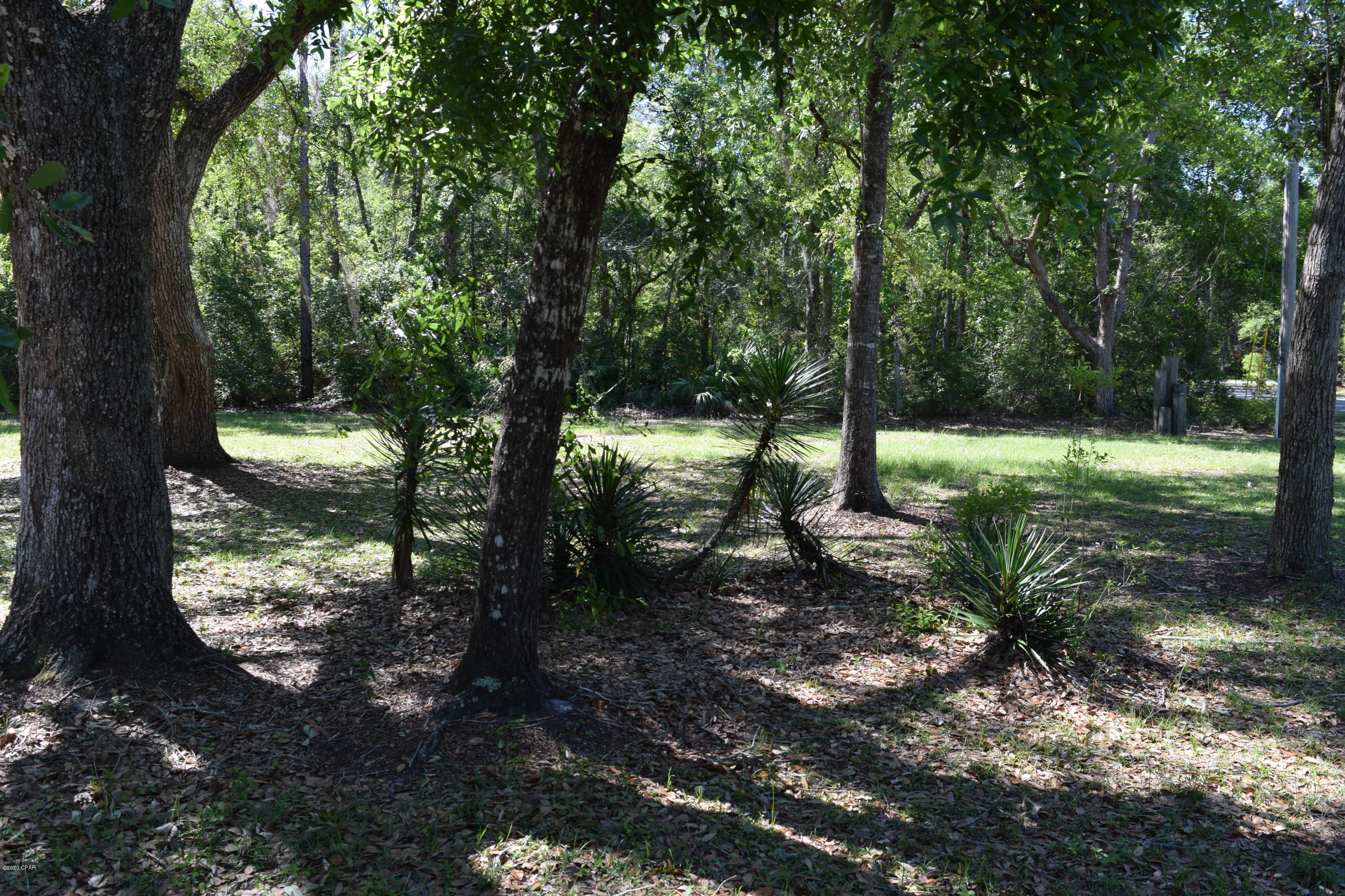 Black Creek - Residential