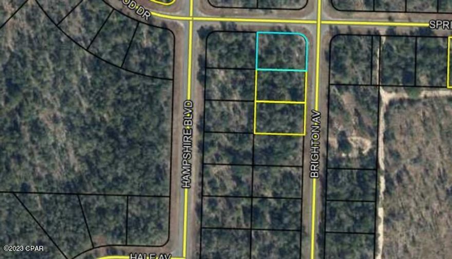 Seller has 3 adjacent lots to sell...with power lines a block away on Hampshire!! This one is a in the middle of the three  (lot 2), ...see additional lots, 1 and 3, listed separately. Nice building lots for single-family homes in the quickly growing subdivision of Sunny Hills!! ...what are you waiting for...Sunny Hills boasts the magnificent Sunny Hills Golf and Country Club!! No time frame to build in...homes only subdivision, no mobile homes...no HOA!! Come build your dream home now!! Don't miss out, call today!!! This seller wants to sell all 3 of these together please.