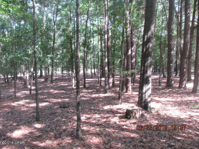 Spring Creek Estates - Residential