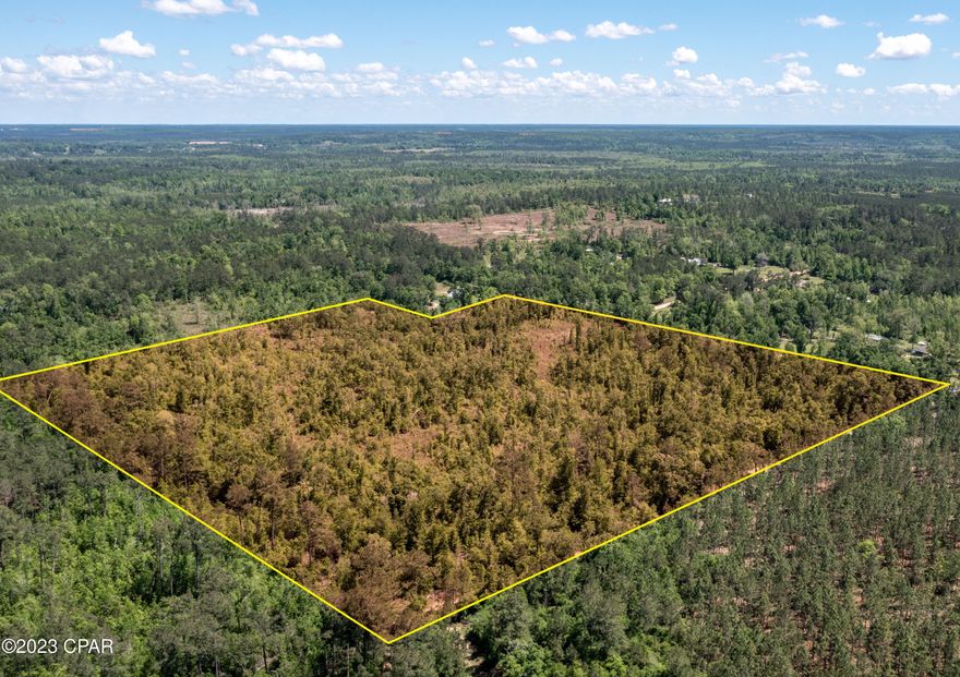 CALLING ALL INVESTORS!!!  This  BEAUTIFUL 32 acres is in a FLOOD ZONE X area with paved frontage road! It is zoned agricultural currently but can be rezoned. Some of the property is already cleared and the other portion has trees.