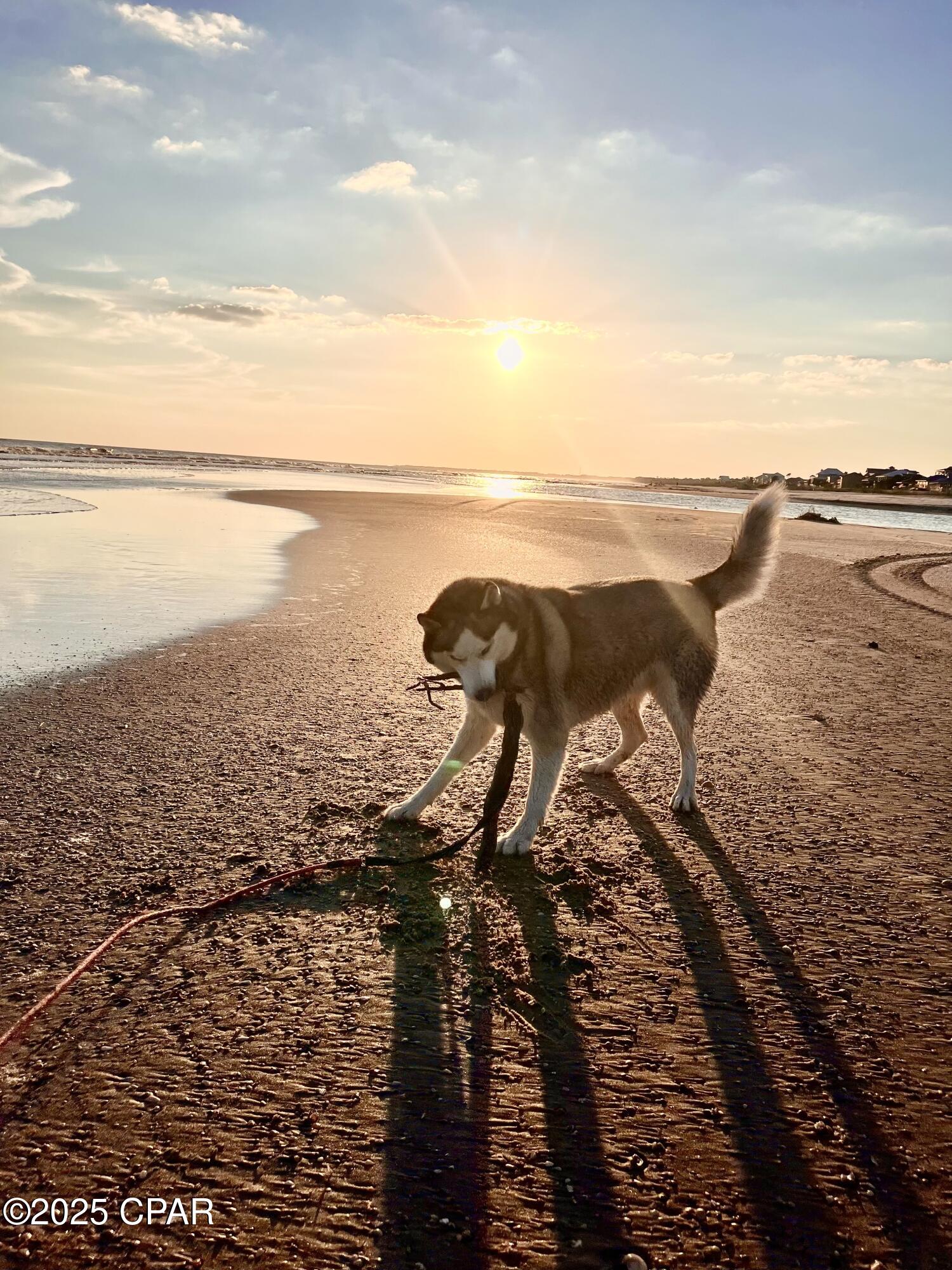 Villa Del Sol - Land