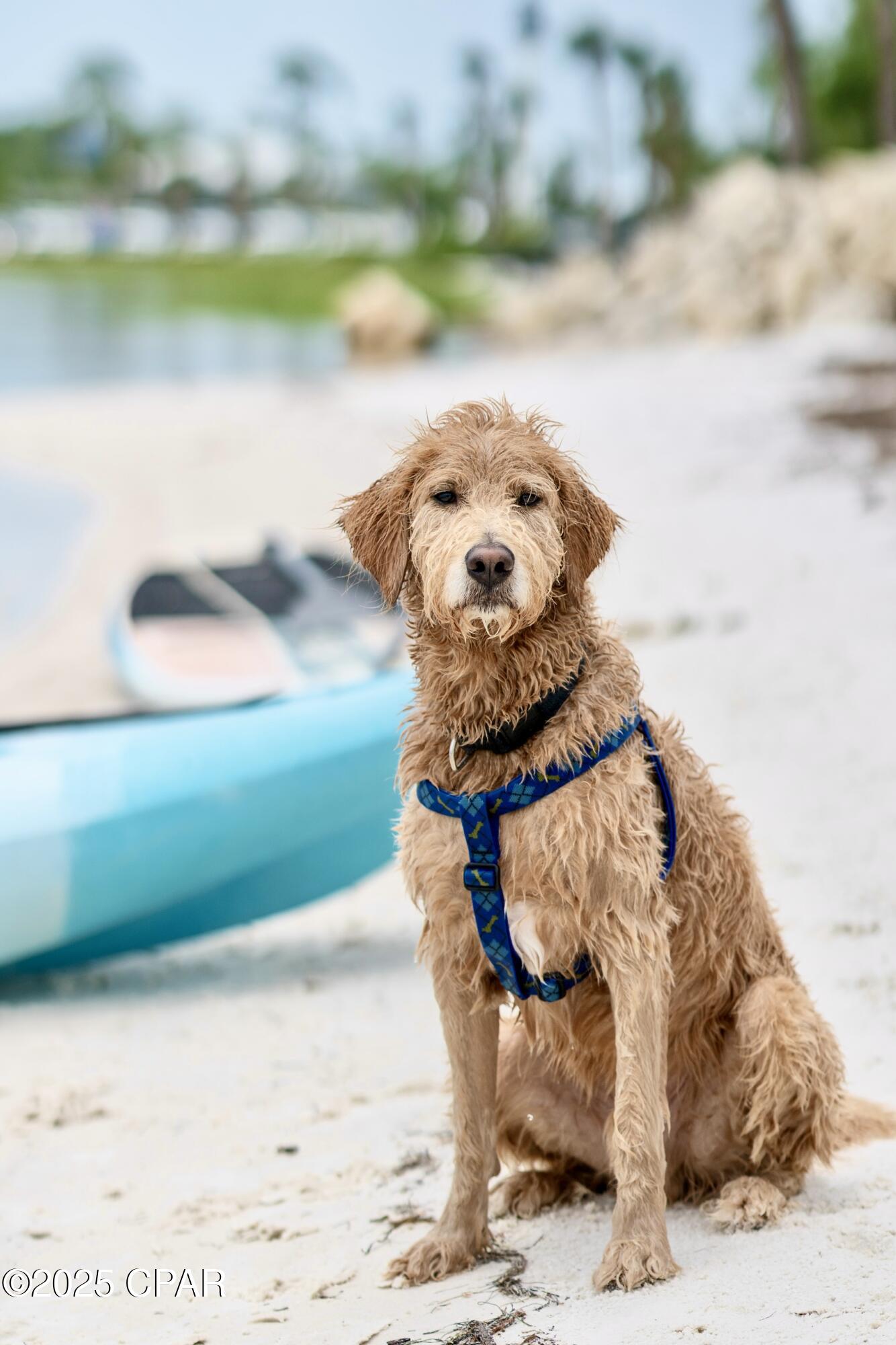 Villa Del Sol - Land