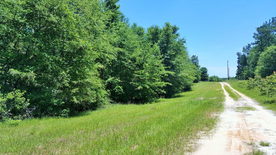 Prime investment opportunity 131 acres of wooded property that is priced to sell.  Go take a look at this and bring all offers, owners are motivated.