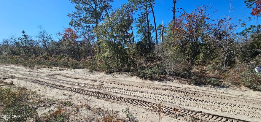 Large Vacant and unimproved parcel located away from the hustle and bustle of town but minutes a way from gas and groceries. This property is for those seeking the peace and solitude of country living while being a 25 minute drive from Panama City, Florida and moments away from a major thoroughfare in Hwy 231.