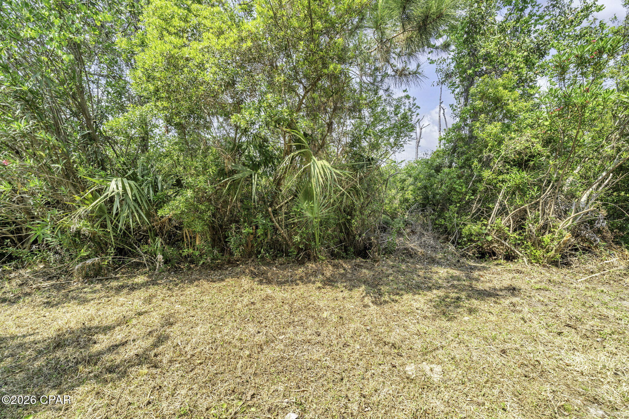 Harrison's Walk - Residential