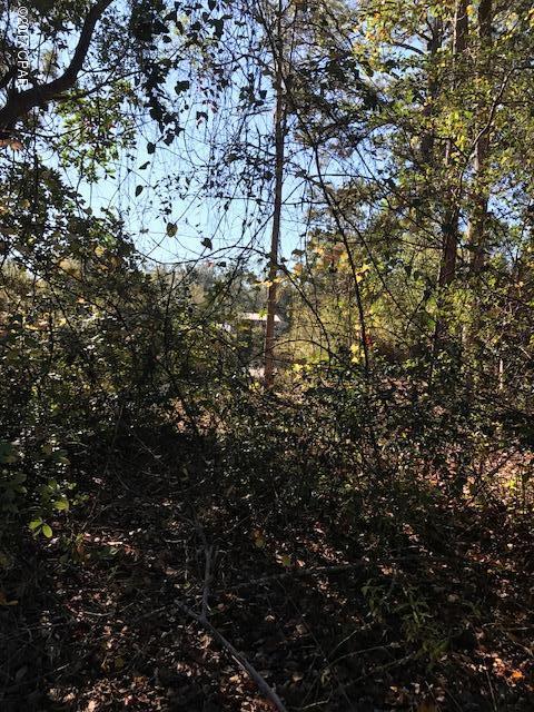 Lake Forest Estates - Land