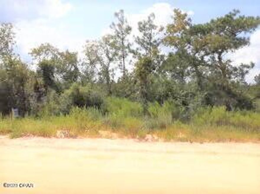 Great location for home or mobile home is ok.

Nice and level lot with county maintained dirt road. Has a variety of trees on land.