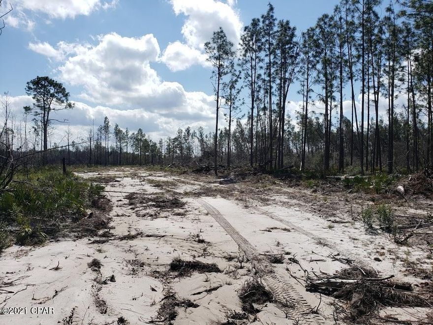 This property consist of two 5 acre parcels. Some trees were destroyed by Hurricane Michael. Approximately 4 acres are cleared.  The adjoining  10 acres is also available. Look at MLS 708504.  If you would like 20 acres, look at MLS# 708549. Vacant land ready for you to make it your own. Go see today!
