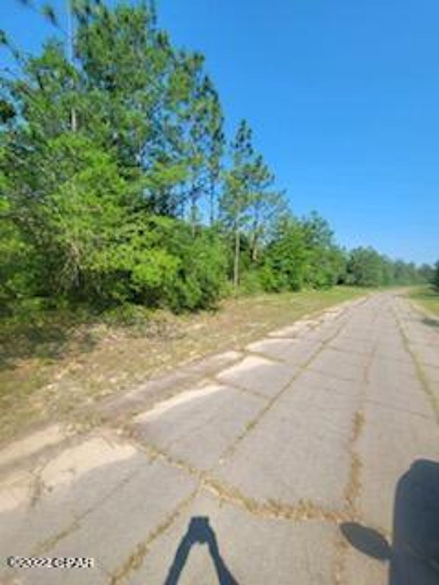 Nice building lot close to Hwy 77 in Unit One!!!!

Build your dream home or for an investment build your spec home. 

Buyer should verify all things that is important  before buying the lot. 

There is a MSBU Fee of $33.50 yearly. 

Buyer pays all closing costs except Realtor fees and proration of property tax.