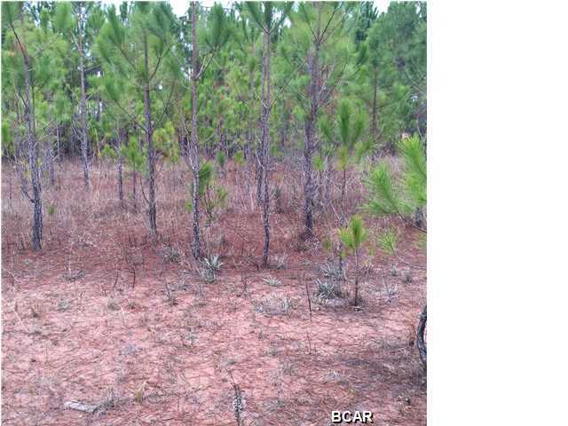 Cherokee Heights Phase III - Residential