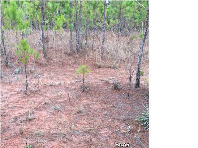 Cherokee Heights Phase III - Residential