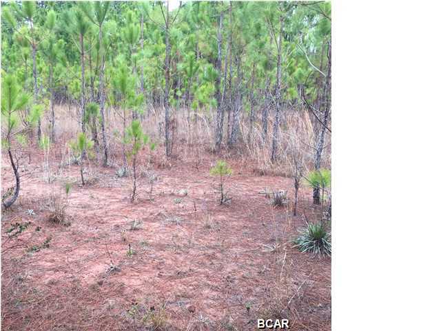 Cherokee Heights Phase III - Residential