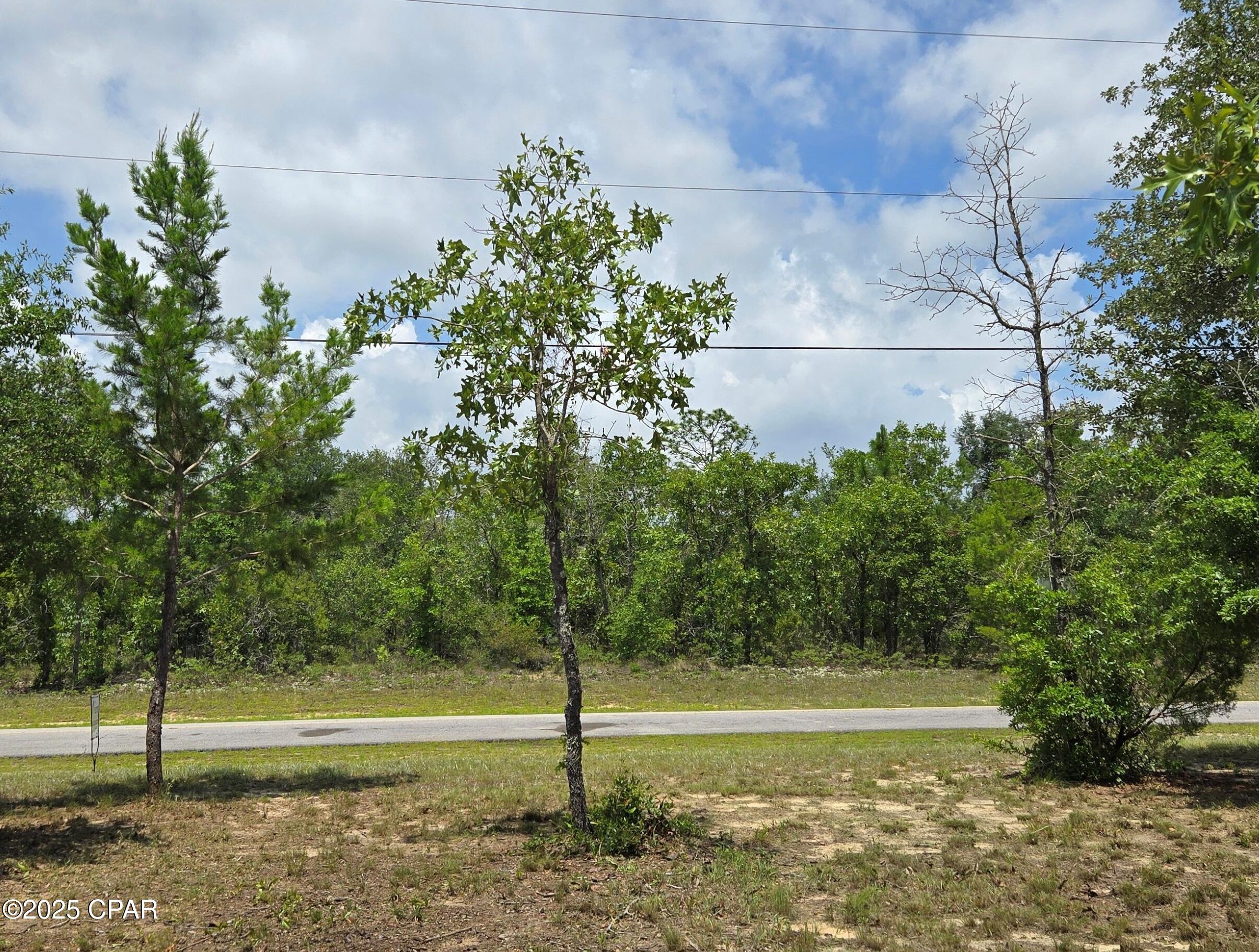 Sunny Hills Unit 6 - Land