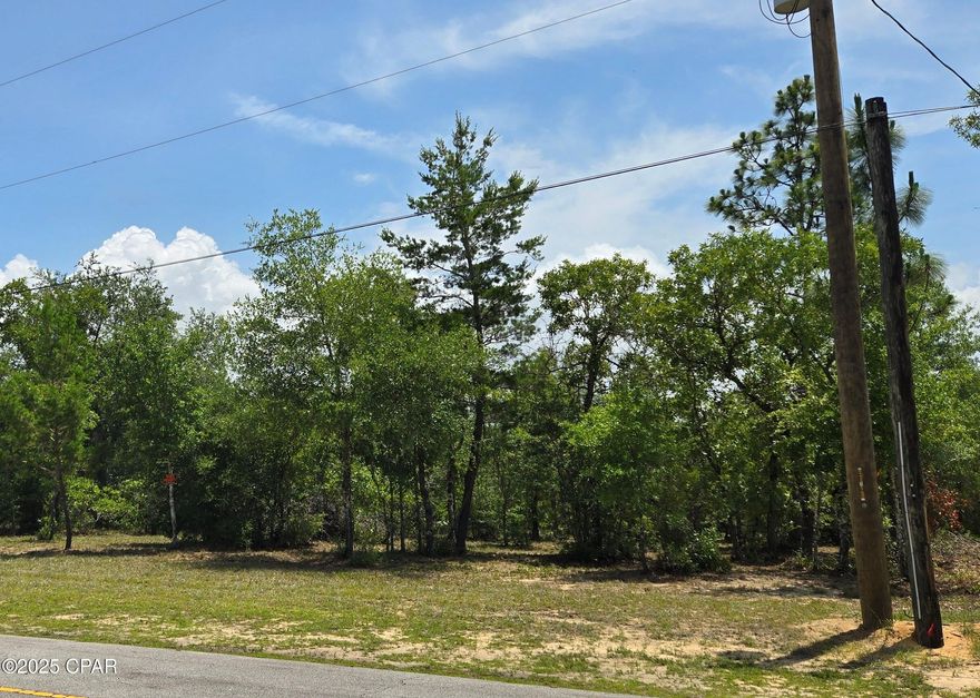 Don't miss this rare opportunity to own a beautiful 0.682-acre lot on Aldoro Circle, located just off Country Club Boulevard in the Sunny Hills community of Chipley, FL. Tucked away in a quiet setting, this property offers a unique natural feature—a picturesque, spring-fed creek that runs along the back of the lot within the designated greenspace, creating a serene and scenic backdrop for your future homesite.

Power is already on-site, and public water is believed to be available with applicable fees—buyers are encouraged to verify all utility details. A septic system will still be needed.

With ample space to design your dream home and enjoy privacy, this lot is ideal for those seeking a peaceful retreat surrounded by nature. Sunny Hills also features access to a golf course, several lakes, and is just a short drive from Panama City and the beautiful Gulf beaches.

Come explore the potential of this special piece of land and imagine the possibilities!