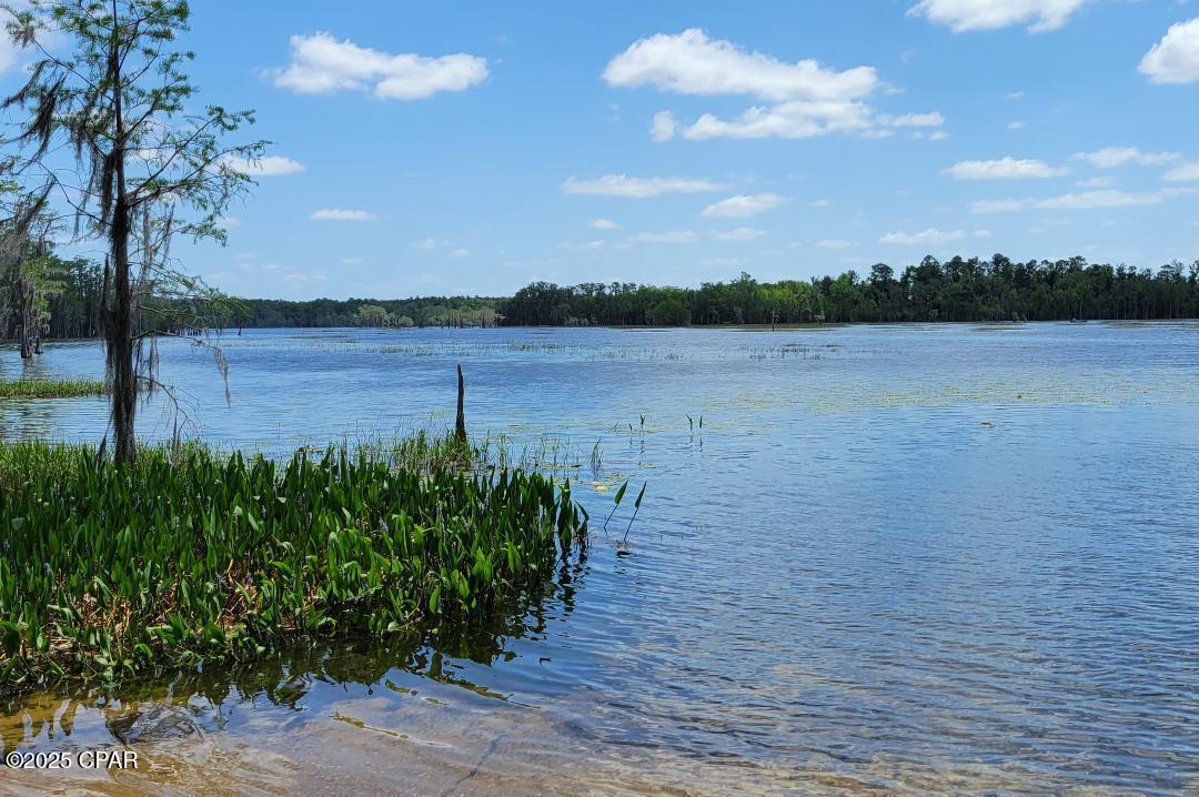 Sunny Hills Unit 6 - Land