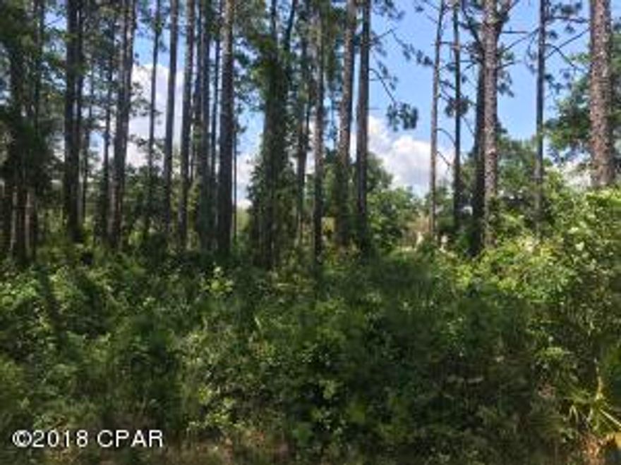 Fantastic corner lot with road frontage on 2 sides.  High and dry and ready for someone to build there dream home.  Very close to public boat launch.