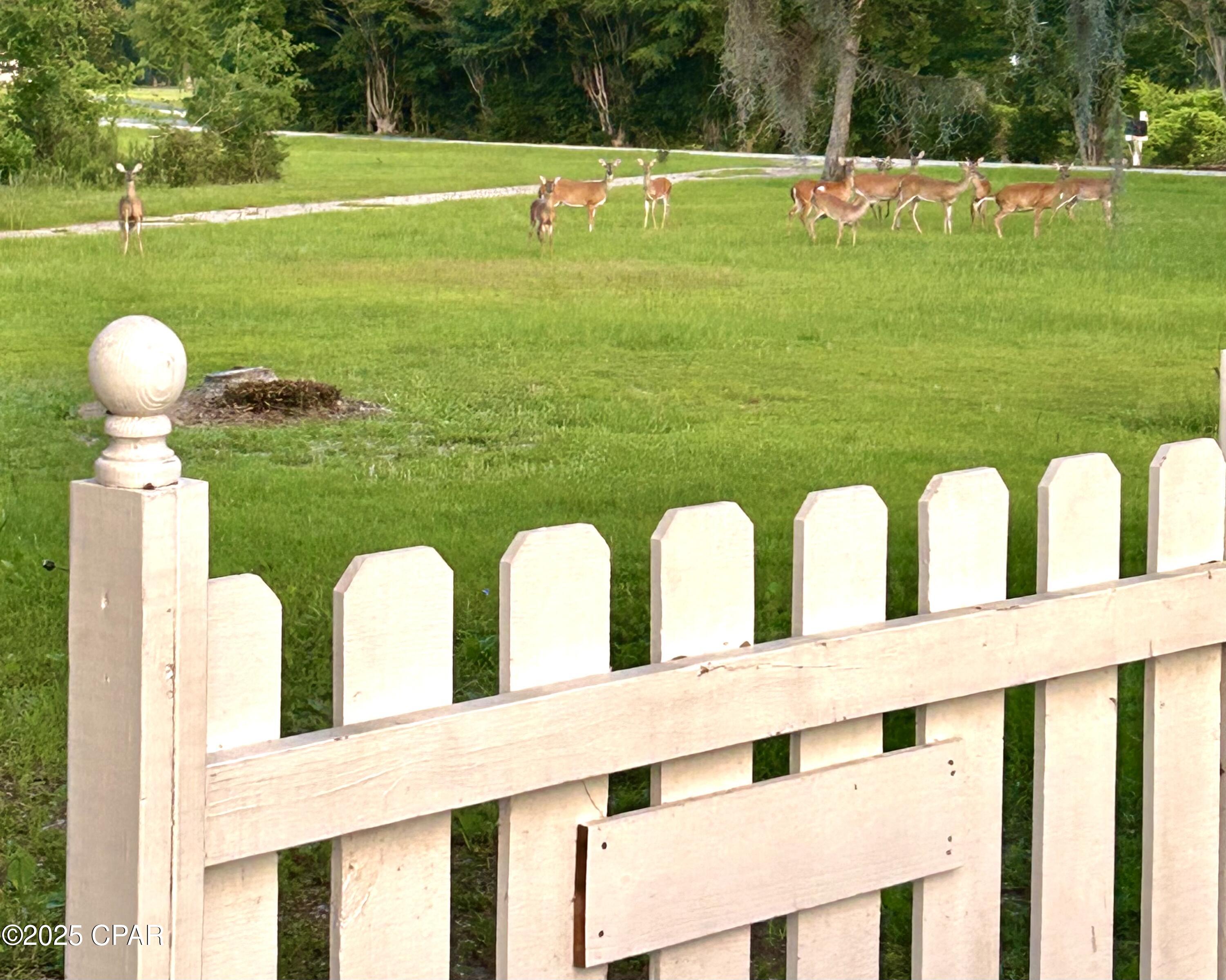 Indian Springs - Residential