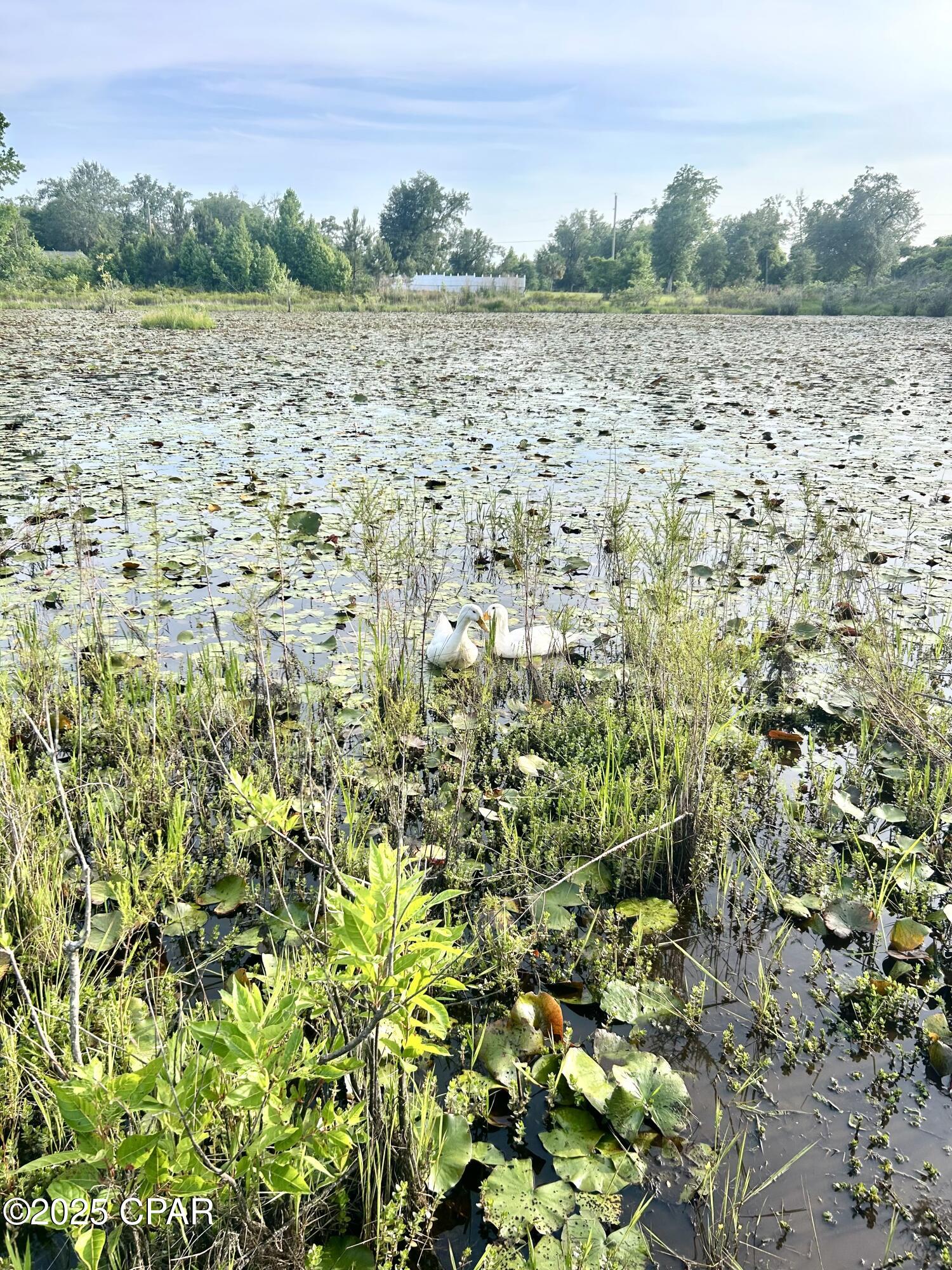 Indian Springs - Residential
